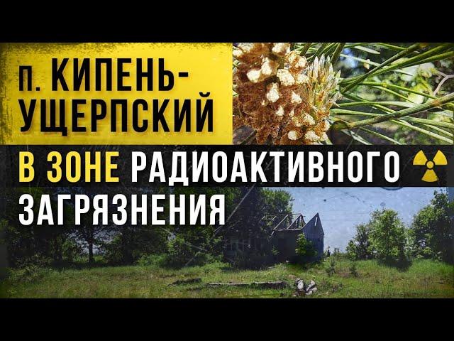  Кипень-Ущерпский в зоне радиоактивного загрязнения.