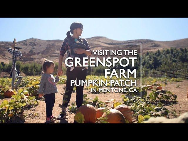 Greenspot Farm Pumpkin Patch With Kids Montage