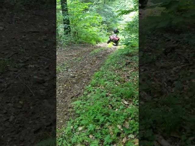 Four wheeler hill climb