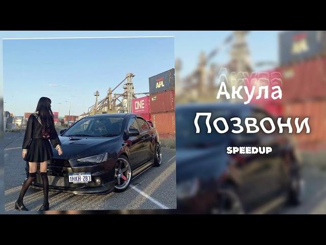 Акула - Позвони (SPEEDUP)