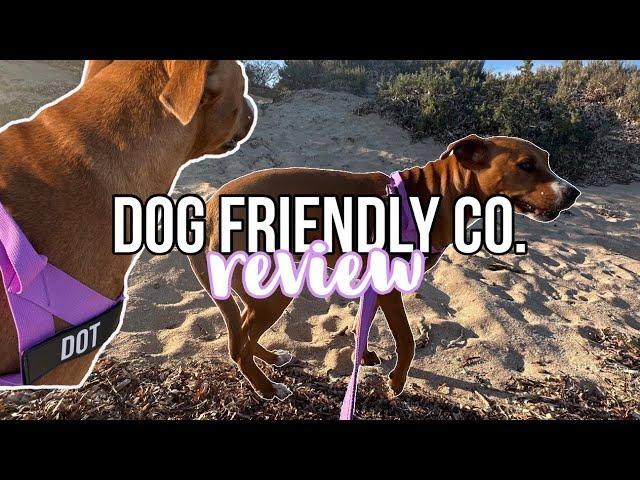 Dog Friendly Co. review + dog's first dog wash experience!