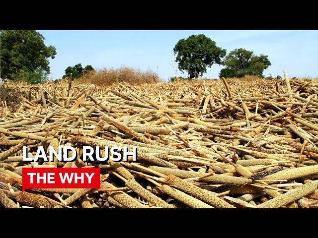 Land Rush ⎜WHY POVERTY? ⎜(Documentary)