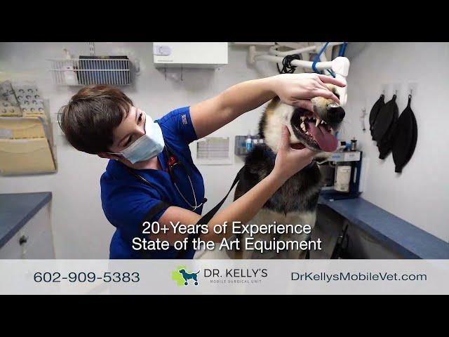 Affordable Pet Surgery with Dr. Kelly's