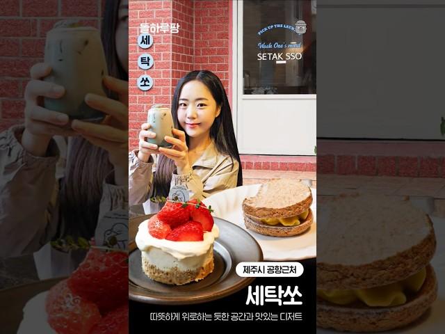 [돌팡로드 ep.6 / 카페세탁쏘] 제주에는 마음까지 세탁해주는 카페가 있다? #카페추천 #제주카페 #돌하루팡 #제주여행