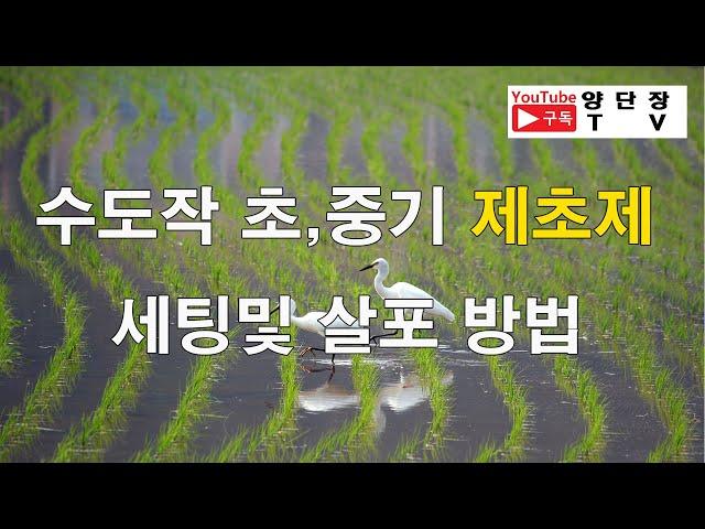 수도작 초중기 제초제 살포방법