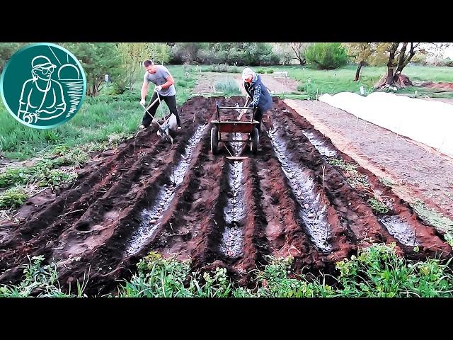 With this method, the yield is 3 times higher | Planting and harvesting potatoes