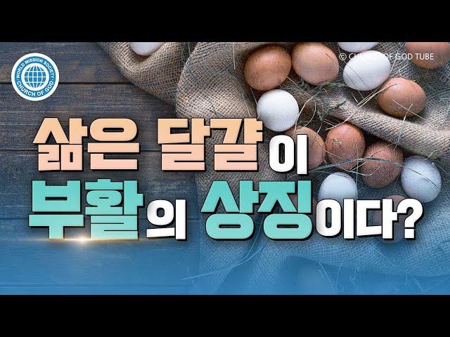 부활절과 이스터 | 하나님의교회 세계복음선교협회