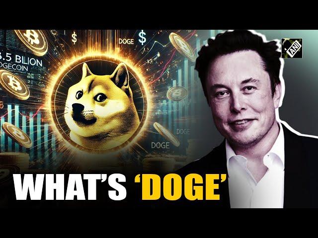 D.O.G.E. takes internet by storm as Trump appoints Musk, Ramaswamy to new department | US Election