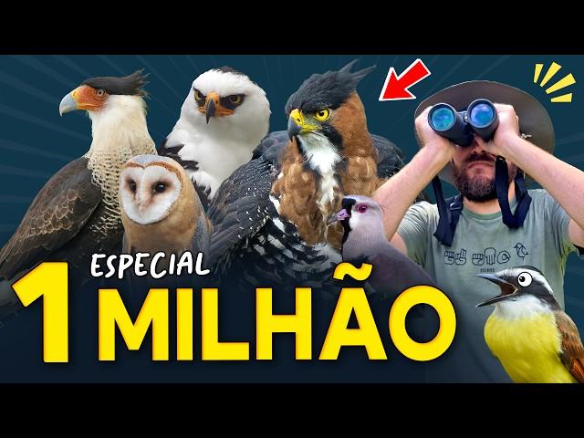 Especial 1 MILHÃO: REVELAMOS a HISTÓRIA do PLANETA AVES!!