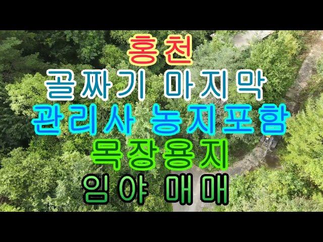 홍천 골짜기 마지막 관리사 농지 포함 목장용지 임야 매매 52611제곱 15913평 4억 8천만