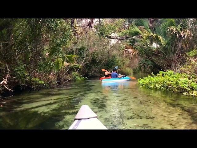 Juniper Springs Canoe Run