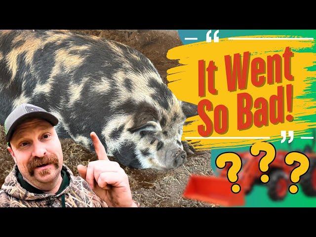 Hog Wrangling Gone WRONG!!! Plus Picking Up A Big Surprise.