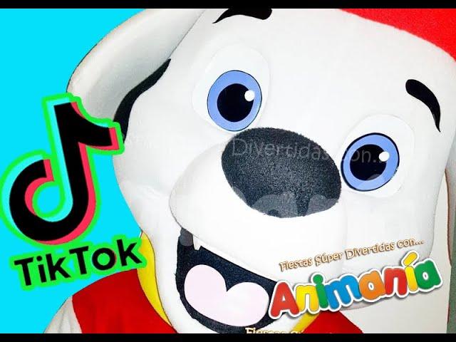 Los Mejores Tik Tok de Animania Show