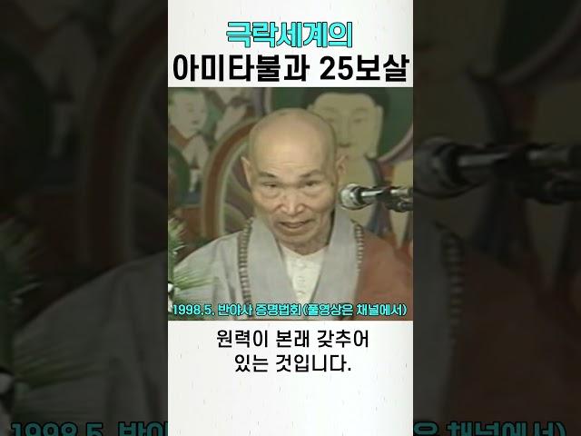 극락세계의 아미타불과 관세음보살 대세지보살 25보살의 원력 #청화스님