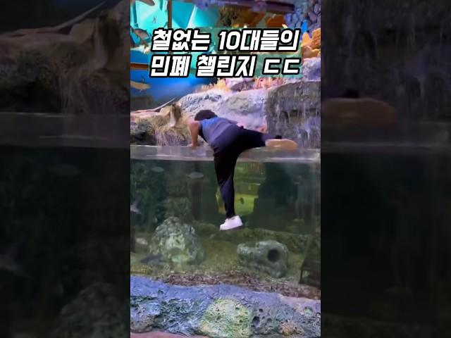 민폐 틱톡커의 최후 ㄷㄷ