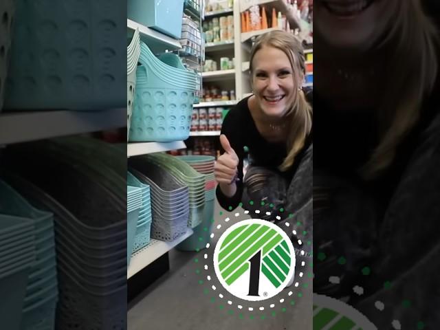 DOLLAR TREE organization hacks!  2024 #dollartree