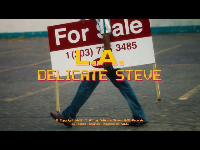 Delicate Steve - "LA"