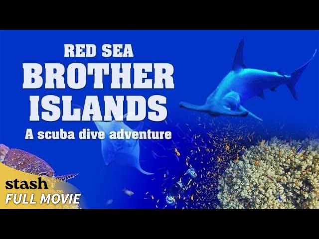 Red Sea: Brother Islands a Scuba Dive Adventure | Wildlife Documentary | Full Movie