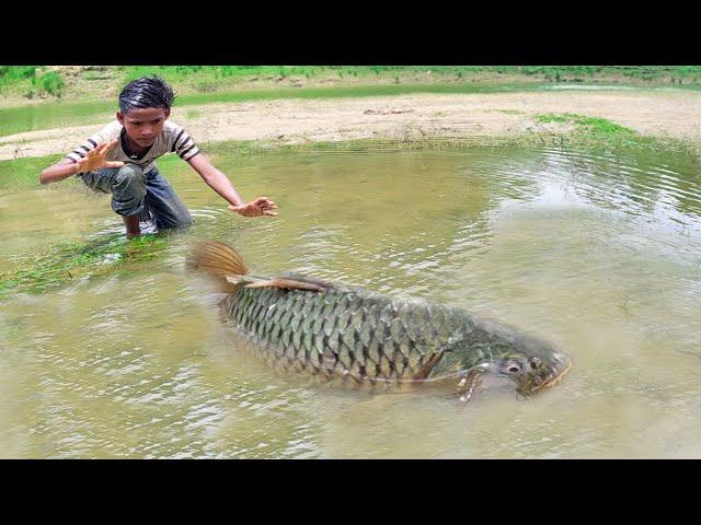 Amazing New Big Fish Catching By Hand | Traditional boy Big Fish Catch By Hand in Drain Mud Water