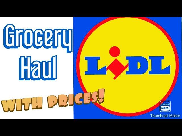 LIDL Grocery Haul with Prices! Nov 6