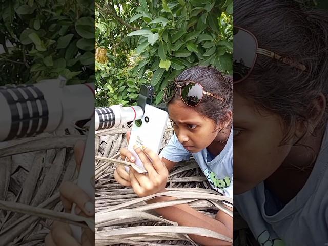 little girl took the photograph of Panda! #panda #shorts #photograph #viral #youtubeshorts