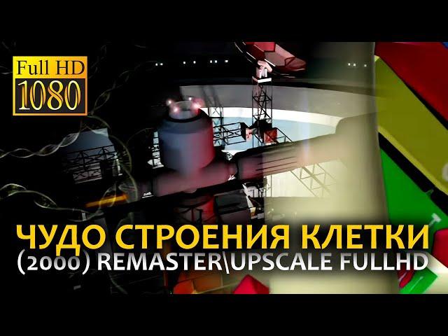 Чудо строения клетки (2000) | Remaster\Upscale FullHD