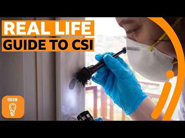 Forensic science: An insider's guide | BBC Ideas