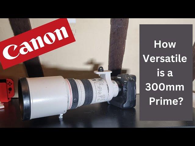 How Versatile is a 300mm Prime - Canon 300mm f2.8 mki