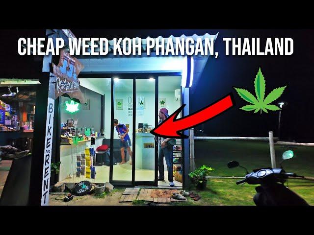 Price Shock! Two Expensive Weed Shops & One Hidden Gem | Koh Phangan, Thailand