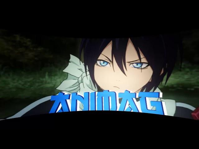 intro AniMag