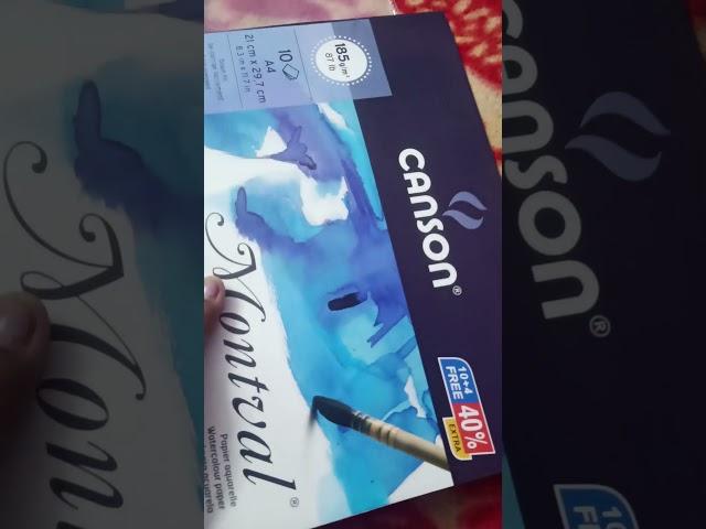 Canson water colour paper #creativitywithaera #shortvideo #artmaterial #painting