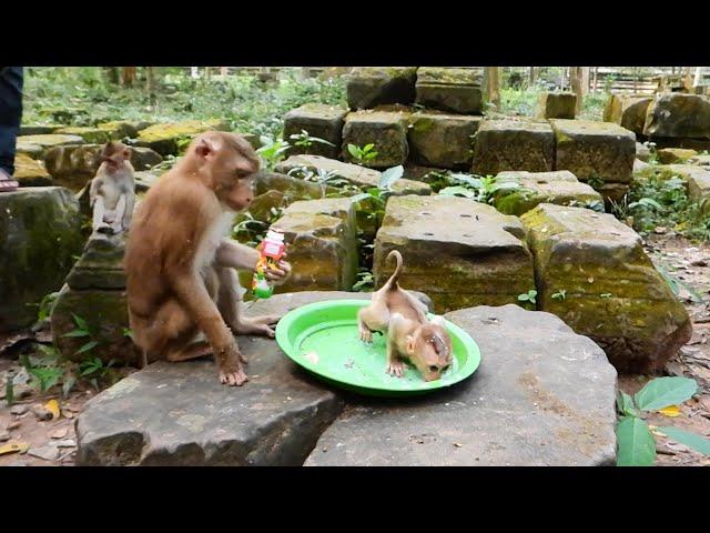 A Small Baby So Hungry Milk, She Giving Milk For Her?