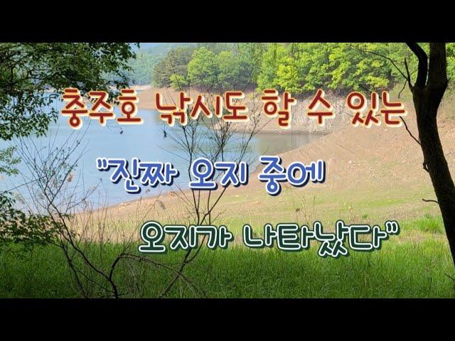 충주호 진짜 오지 중에 오지가 나타났다#충주호#오지차박#낚시차박#무료차박