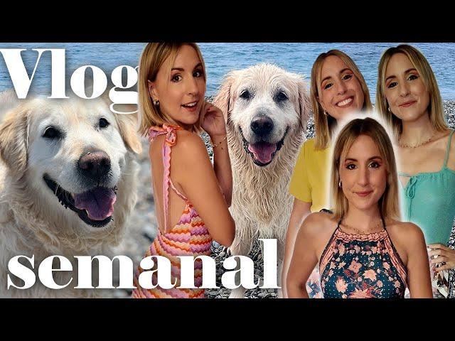  Beach with a river, Japanese ceramics, and lots of excitement | Weekly vlog 