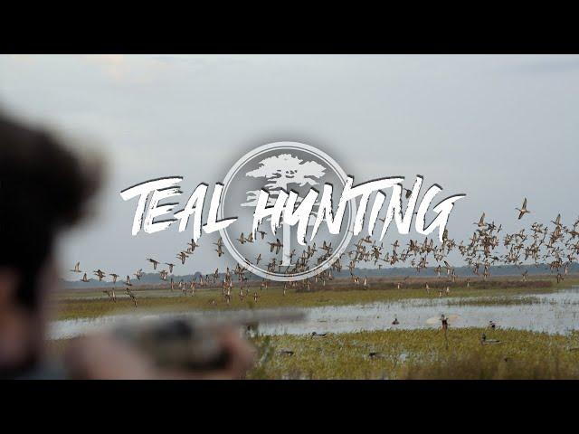 Teal hunting- Missouri Teal Hunting Compilation