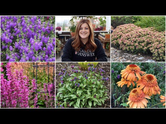 5 Must Have Perennials for Your Garden!  // Garden Answer