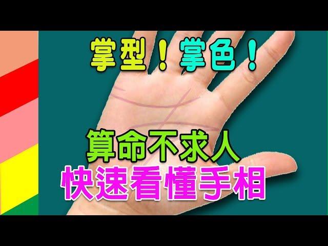 【算命不求人】快速看懂手相-(八)掌型、掌色分析（精華版）