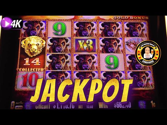 I GOT 14 Gold Heads & HIT A JACKPOT on Buffalo Gold!