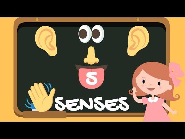 Five Senses