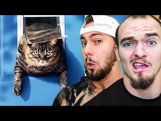 Dumbest Animals In The World