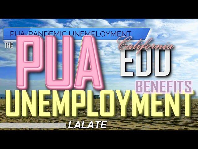 UBER PUA Unemployment Benefits | States CONFUSING Drivers!  UNEMPLOYMENT vs PUA Claim? EDD UPDATE 