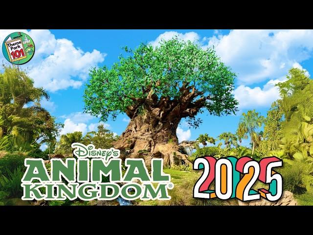 Disney's Animal Kingdom RIDES & ATTRACTIONS 2025 - Walt Disney World