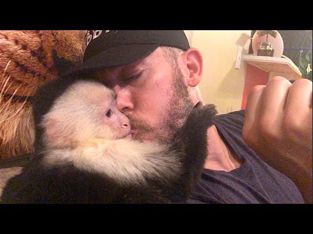 Capuchin Monkey Loves Daddy!