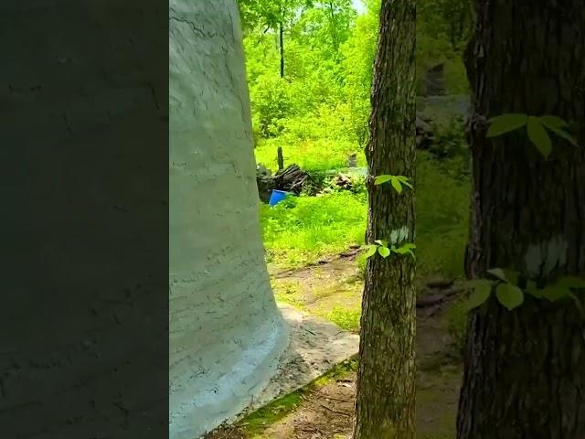 Hobbit House on 5.3 Acres! Owner financed Land for Sale! CG65 #shorts #offgrid #hobbithouse
