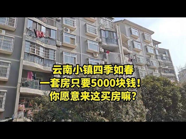 云南小镇四季如春，一套房只要5000块钱，你愿意来这养老吗