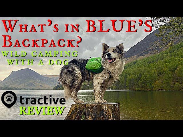 CAMPING WITH A DOG - FULL KIT LOAD OUT - Tractive GPS Dog Tracker Ruffwear Approach Pack Backpacking