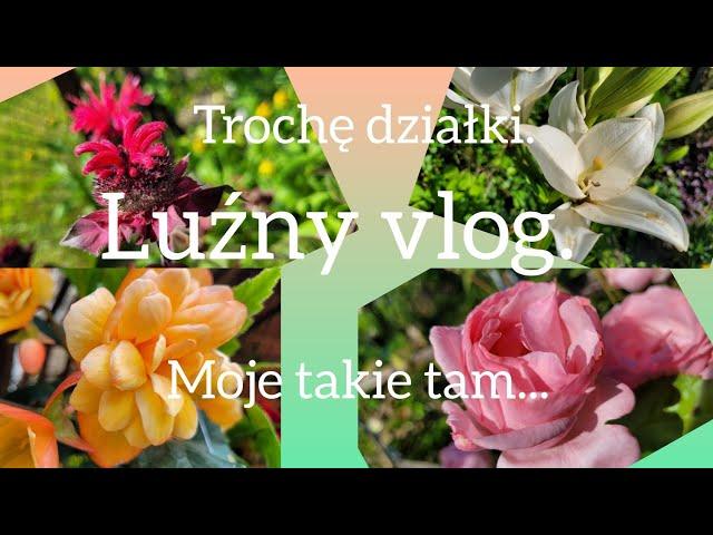 Trochę działki i moje takie tam. Luźny vlog. 18.06.2024.