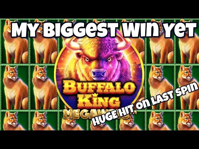 My Biggest Win on BUFFALO KING MEGAWAYS Slot (BIG WIN)