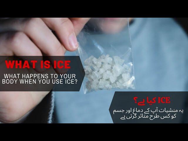 What is ICE Drug and What happens to your body when you use ICE