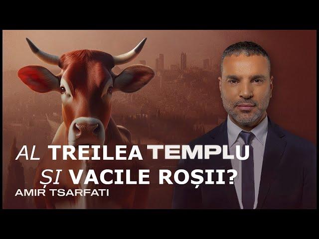 Amir Tsarfati: Al Treilea Templu și vacile roșii?